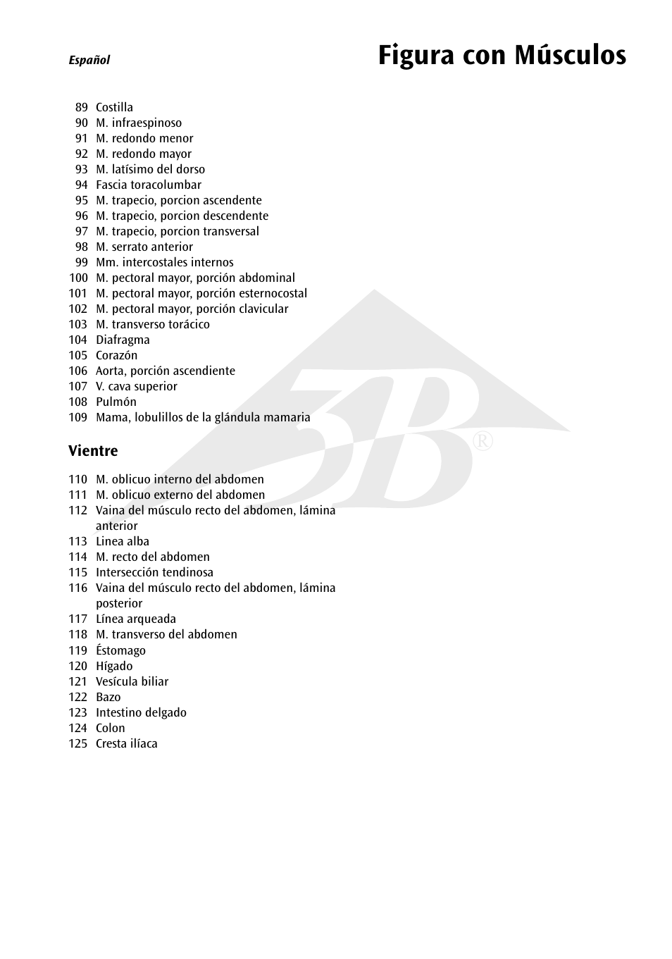 Figura con músculos | 3B Scientific 1__3 Life-Size Muscle Figure, 2-part User Manual | Page 9 / 20