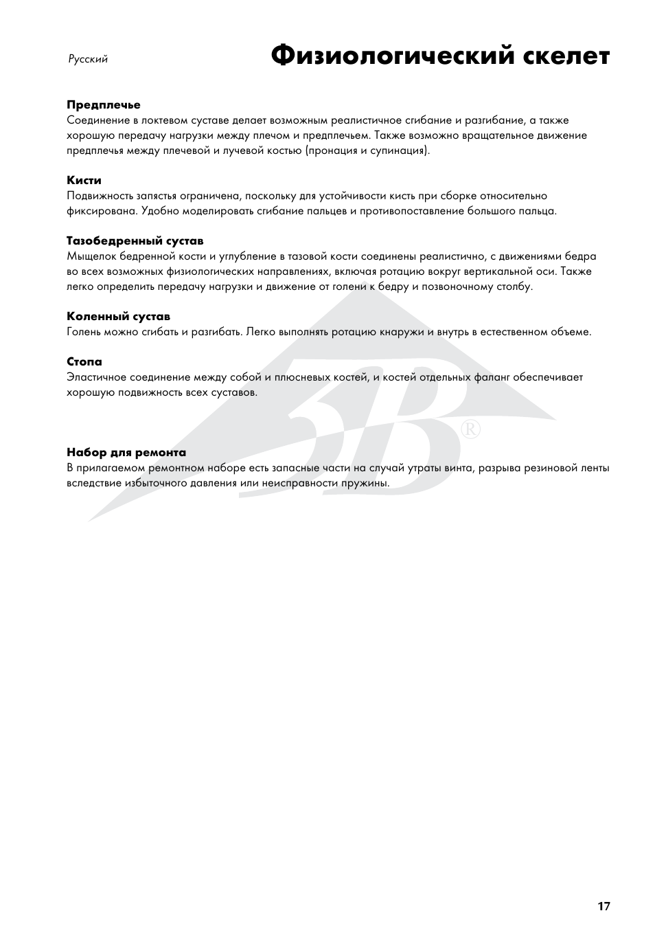 Физиологический скелет | 3B Scientific Physiological Skeleton Model - Phil - Hanging Stand User Manual | Page 17 / 20