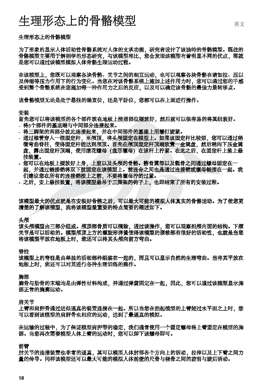 生理形态上的骨骼模型 | 3B Scientific Physiological Skeleton Model - Phil - Hanging Stand User Manual | Page 18 / 20