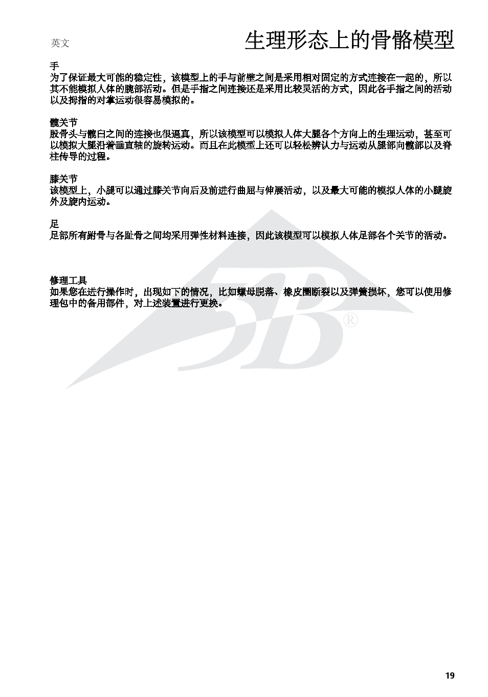 生理形态上的骨骼模型 | 3B Scientific Physiological Skeleton Model - Phil - Hanging Stand User Manual | Page 19 / 20