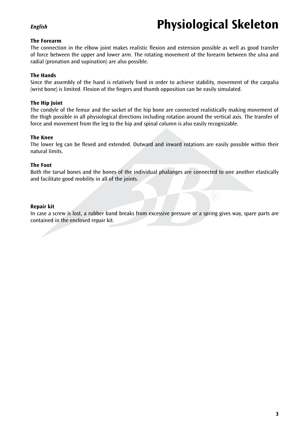 Name, Physiological skeleton | 3B Scientific Physiological Skeleton Model - Phil - Hanging Stand User Manual | Page 3 / 20