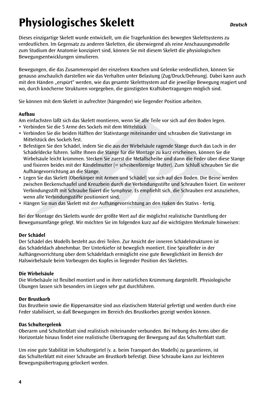 Physiologisches skelett | 3B Scientific Physiological Skeleton Model - Phil - Hanging Stand User Manual | Page 4 / 20