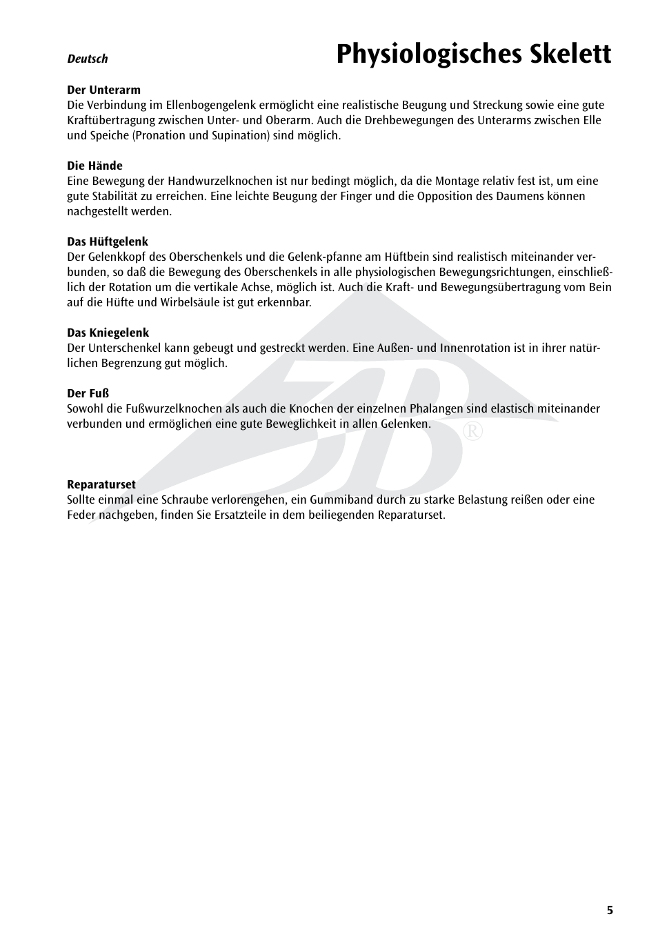 Physiologisches skelett | 3B Scientific Physiological Skeleton Model - Phil - Hanging Stand User Manual | Page 5 / 20