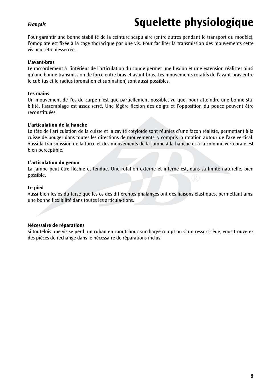 Squelette physiologique | 3B Scientific Physiological Skeleton Model - Phil - Hanging Stand User Manual | Page 9 / 20