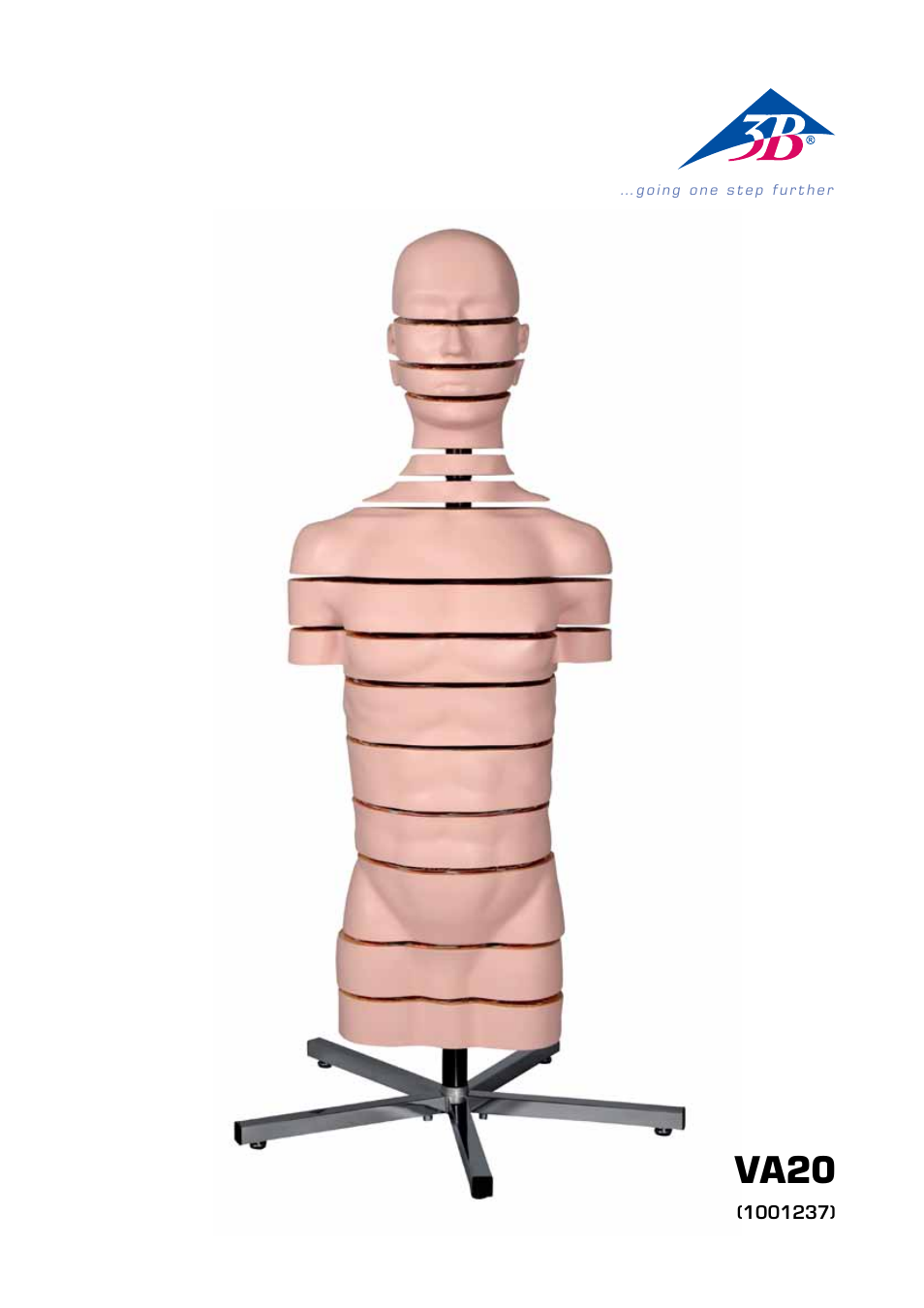 3B Scientific MRI Torso, 15 Transverse Sections User Manual | 40 pages