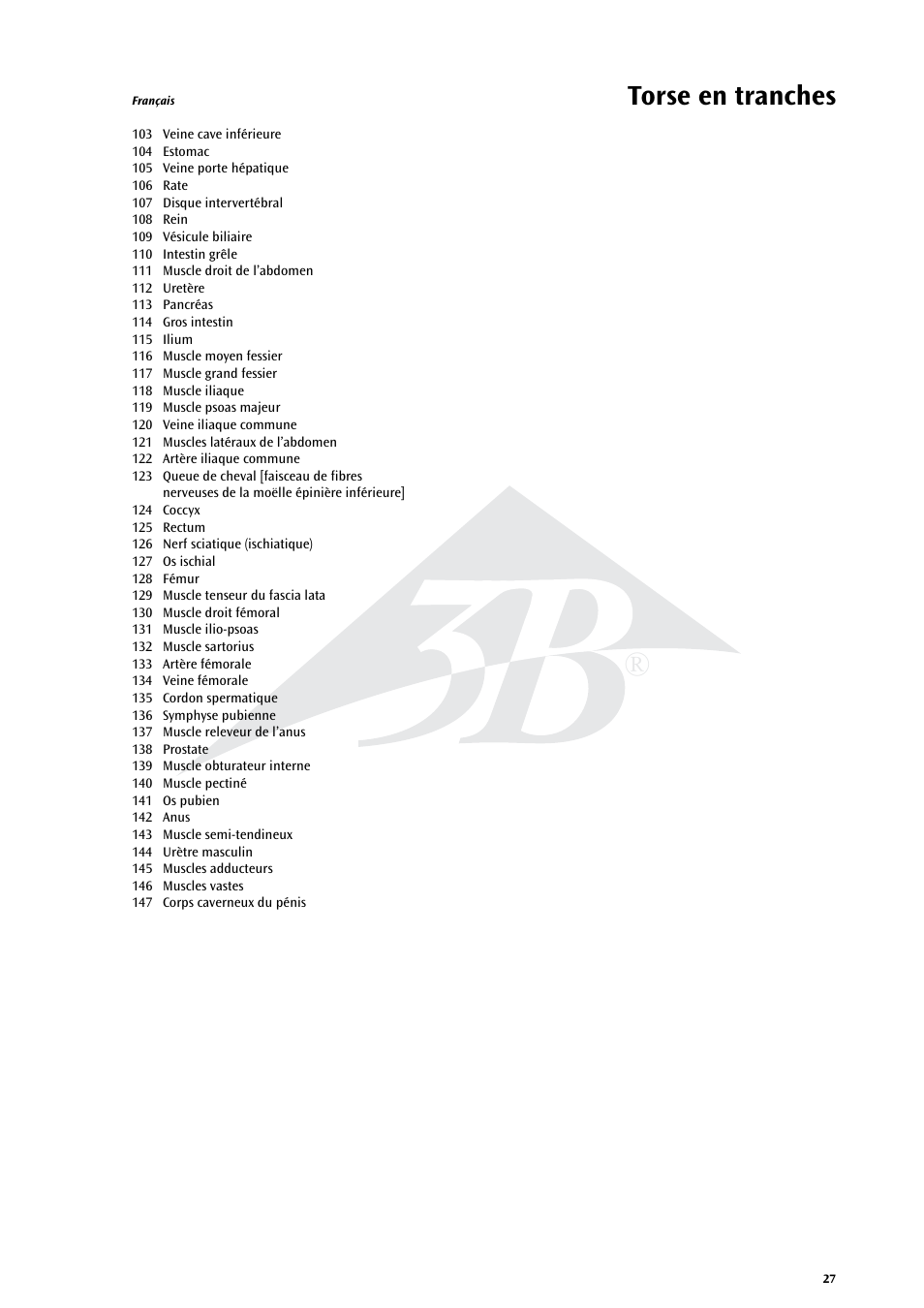 Torse en tranches | 3B Scientific MRI Torso, 15 Transverse Sections User Manual | Page 27 / 40