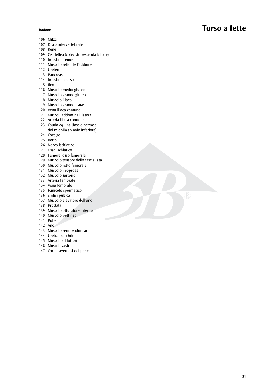 Torso a fette | 3B Scientific MRI Torso, 15 Transverse Sections User Manual | Page 31 / 40