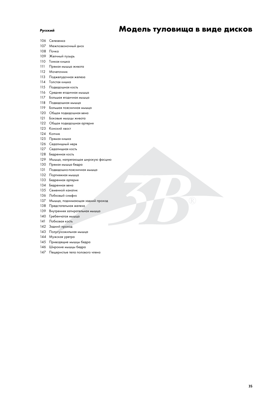 Модель туловища в виде дисков | 3B Scientific MRI Torso, 15 Transverse Sections User Manual | Page 35 / 40