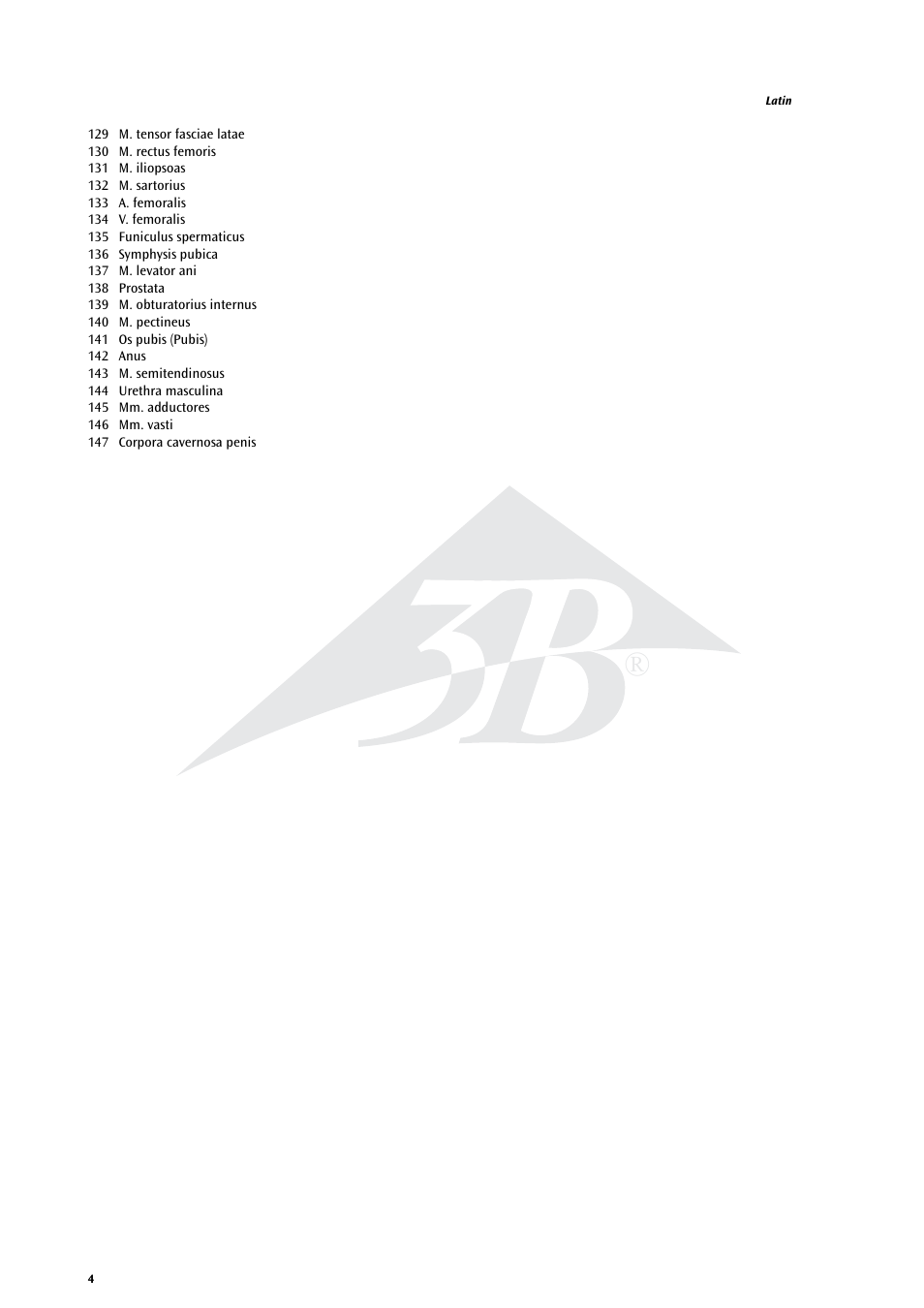 3B Scientific MRI Torso, 15 Transverse Sections User Manual | Page 4 / 40