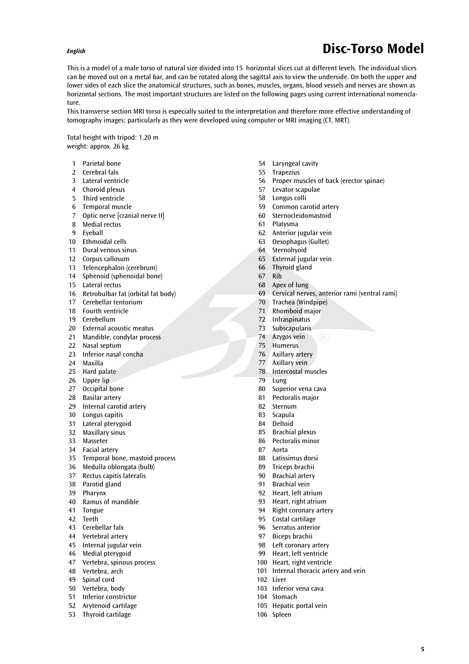 Disc-torso model | 3B Scientific MRI Torso, 15 Transverse Sections User Manual | Page 5 / 40