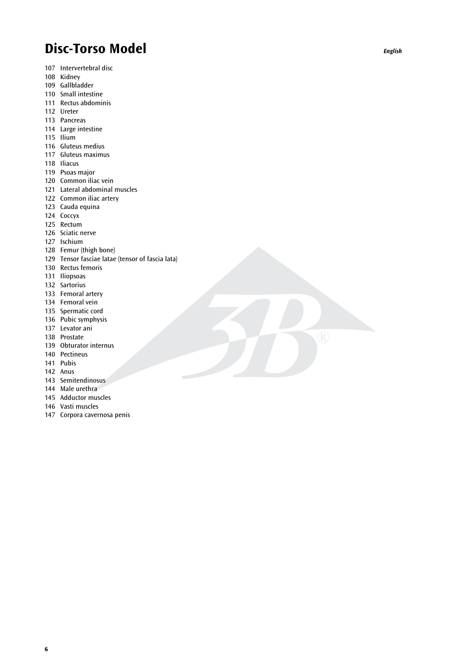 Disc-torso model | 3B Scientific MRI Torso, 15 Transverse Sections User Manual | Page 6 / 40