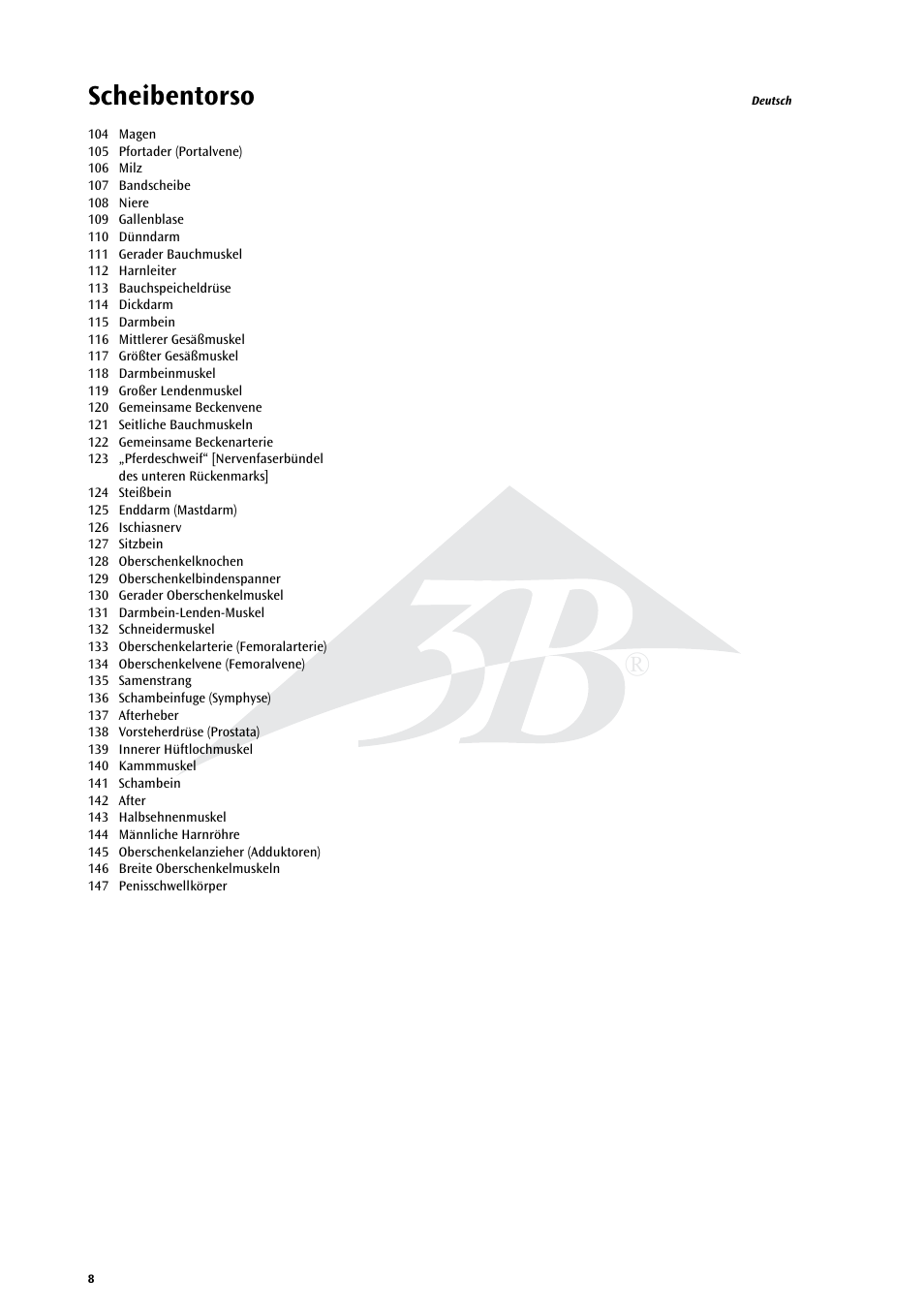 Scheibentorso | 3B Scientific MRI Torso, 15 Transverse Sections User Manual | Page 8 / 40