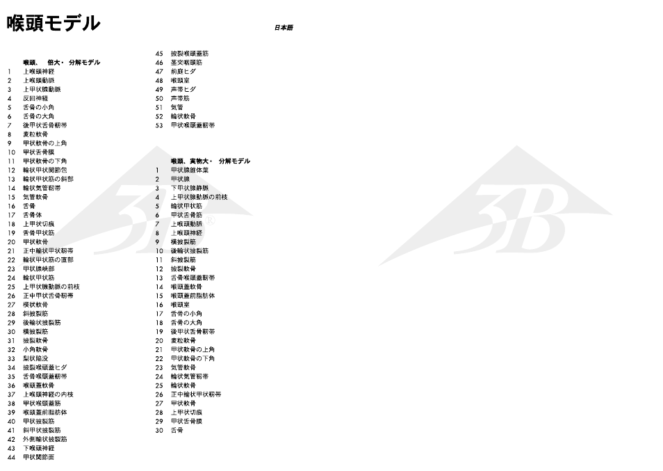 3B Scientific Larynx Model, 2 part User Manual | Page 8 / 9