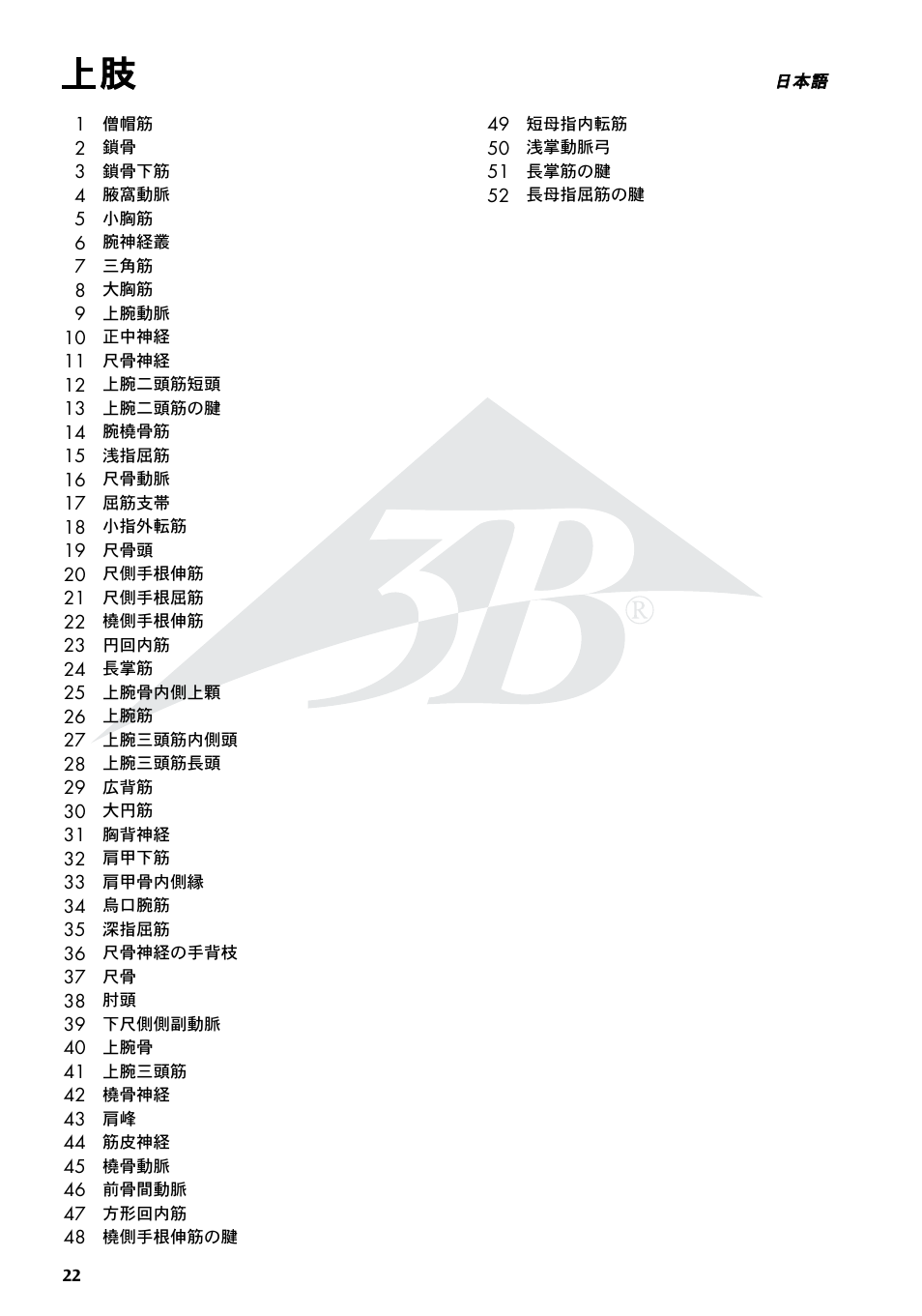 3B Scientific Deluxe Muscle Arm, 6 part, Life Size User Manual | Page 22 / 28