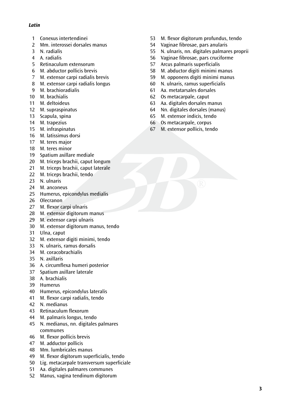 3B Scientific Deluxe Muscle Arm, 6 part, Life Size User Manual | Page 3 / 28