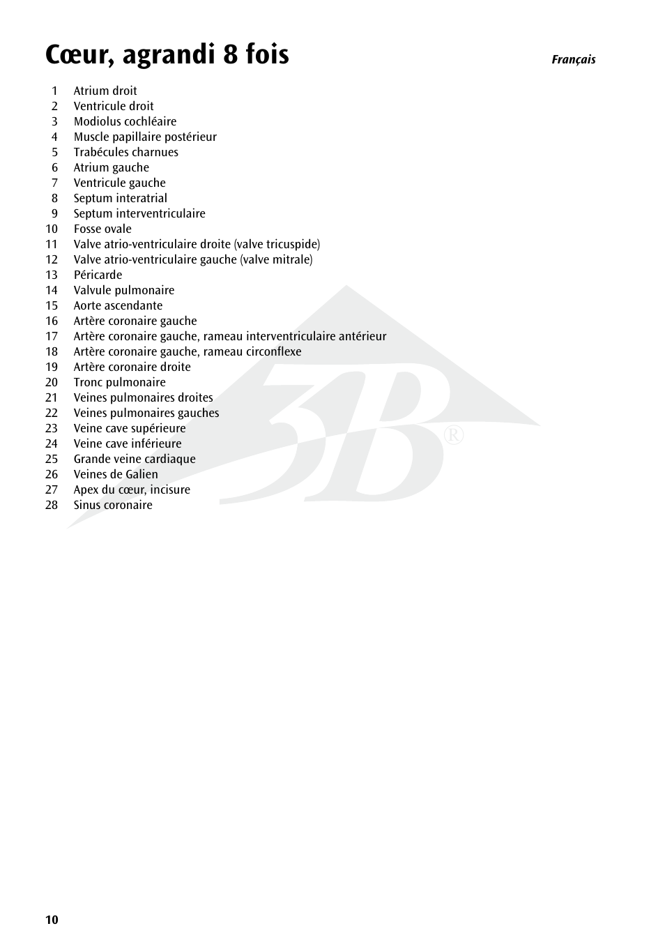 Cœur, agrandi 8 fois | 3B Scientific Giant Heart, 8 times life size User Manual | Page 10 / 20