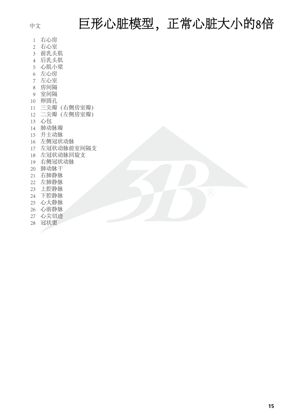 巨形心脏模型，正常心脏大小的8倍 | 3B Scientific Giant Heart, 8 times life size User Manual | Page 15 / 20