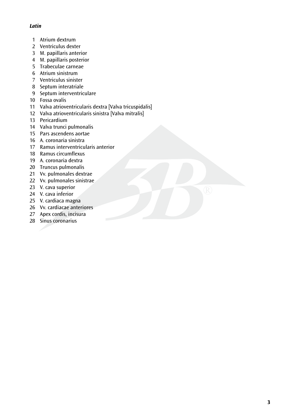 3B Scientific Giant Heart, 8 times life size User Manual | Page 3 / 20