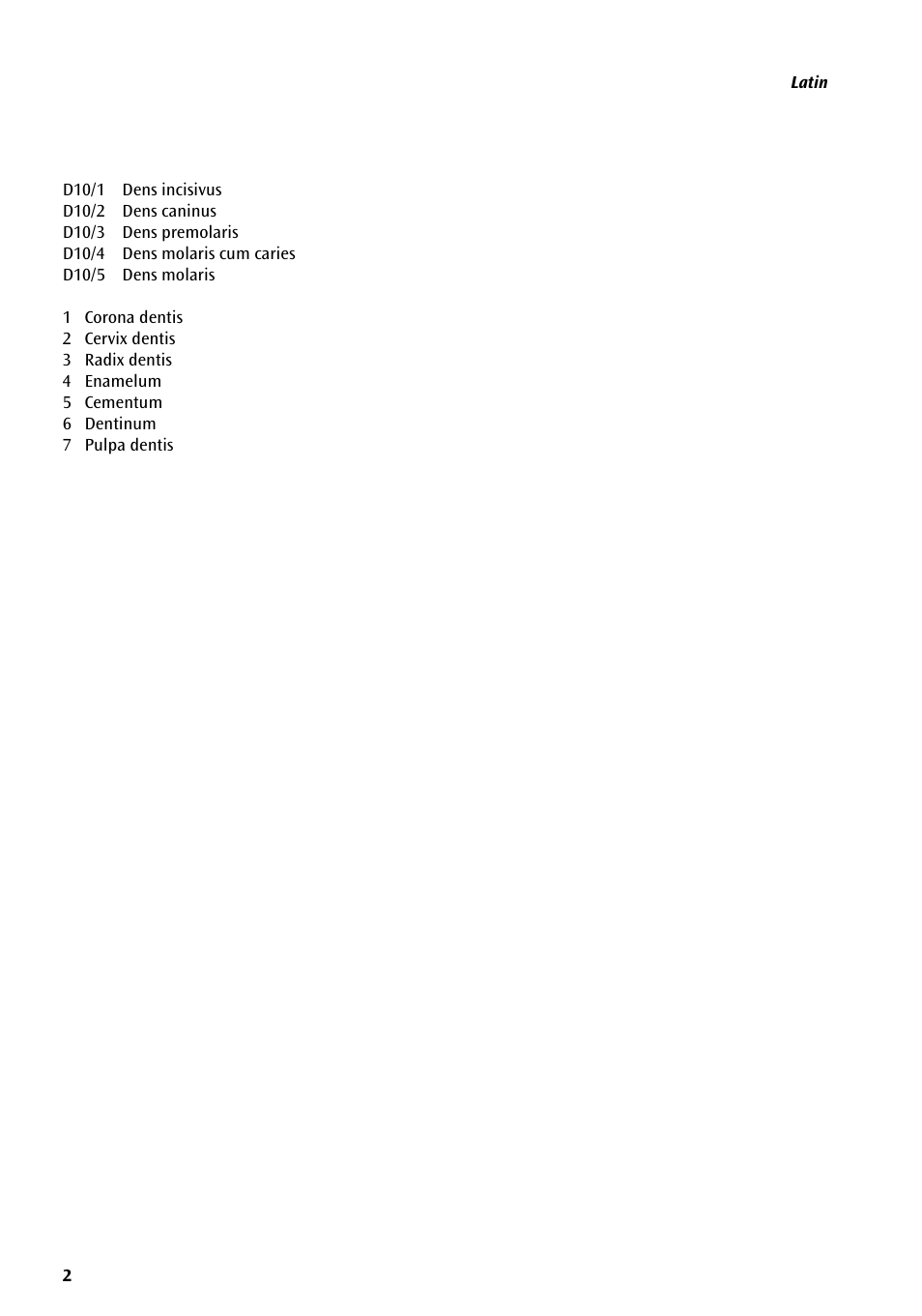 3B Scientific Classic Tooth Model Series, 5 models User Manual | Page 2 / 12