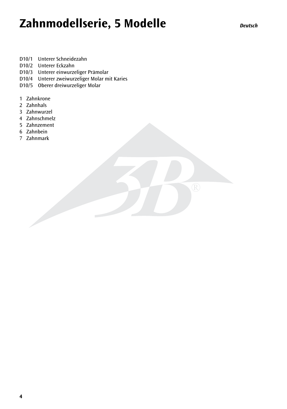 Zahnmodellserie, 5 modelle | 3B Scientific Classic Tooth Model Series, 5 models User Manual | Page 4 / 12
