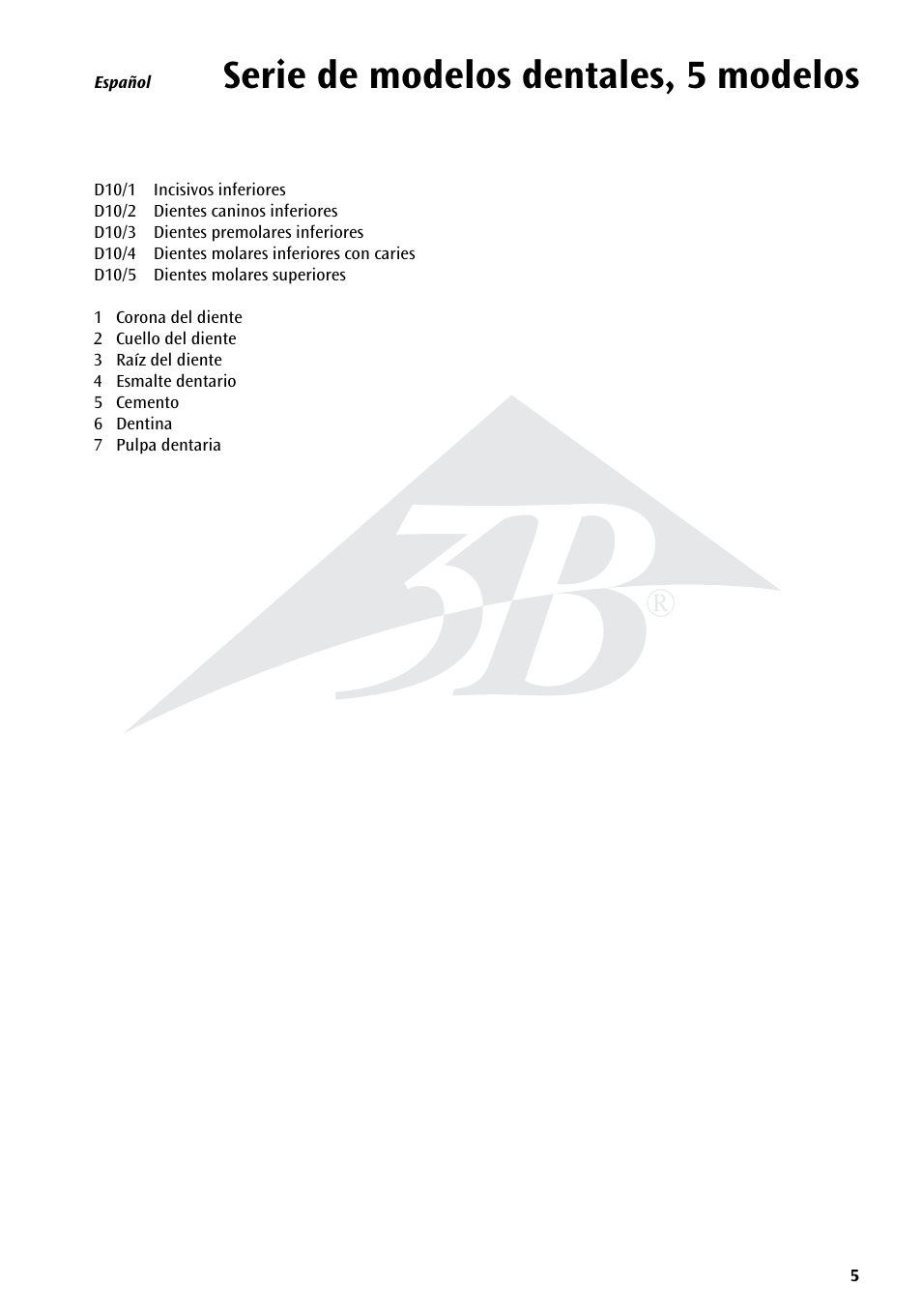 Serie de modelos dentales, 5 modelos | 3B Scientific Classic Tooth Model Series, 5 models User Manual | Page 5 / 12