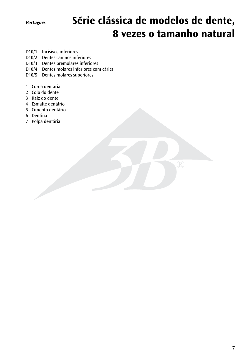 3B Scientific Classic Tooth Model Series, 5 models User Manual | Page 7 / 12