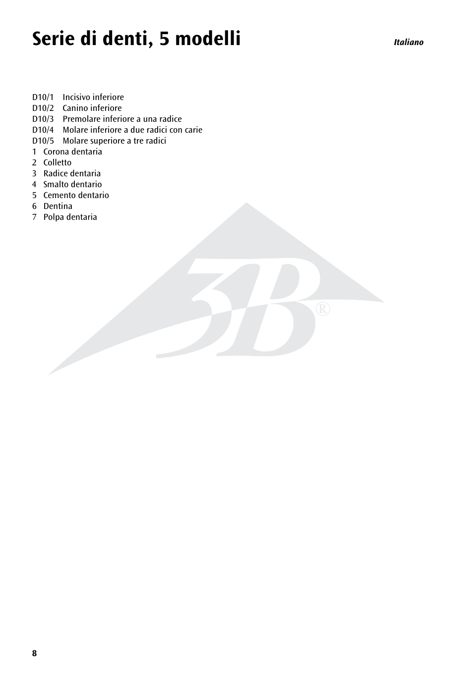 Serie di denti, 5 modelli | 3B Scientific Classic Tooth Model Series, 5 models User Manual | Page 8 / 12