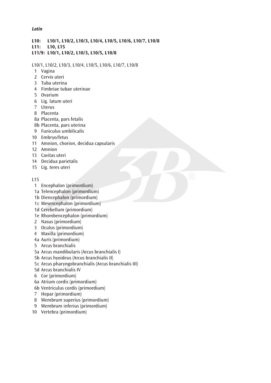 3B Scientific 7th Month Fetus User Manual | Page 3 / 14