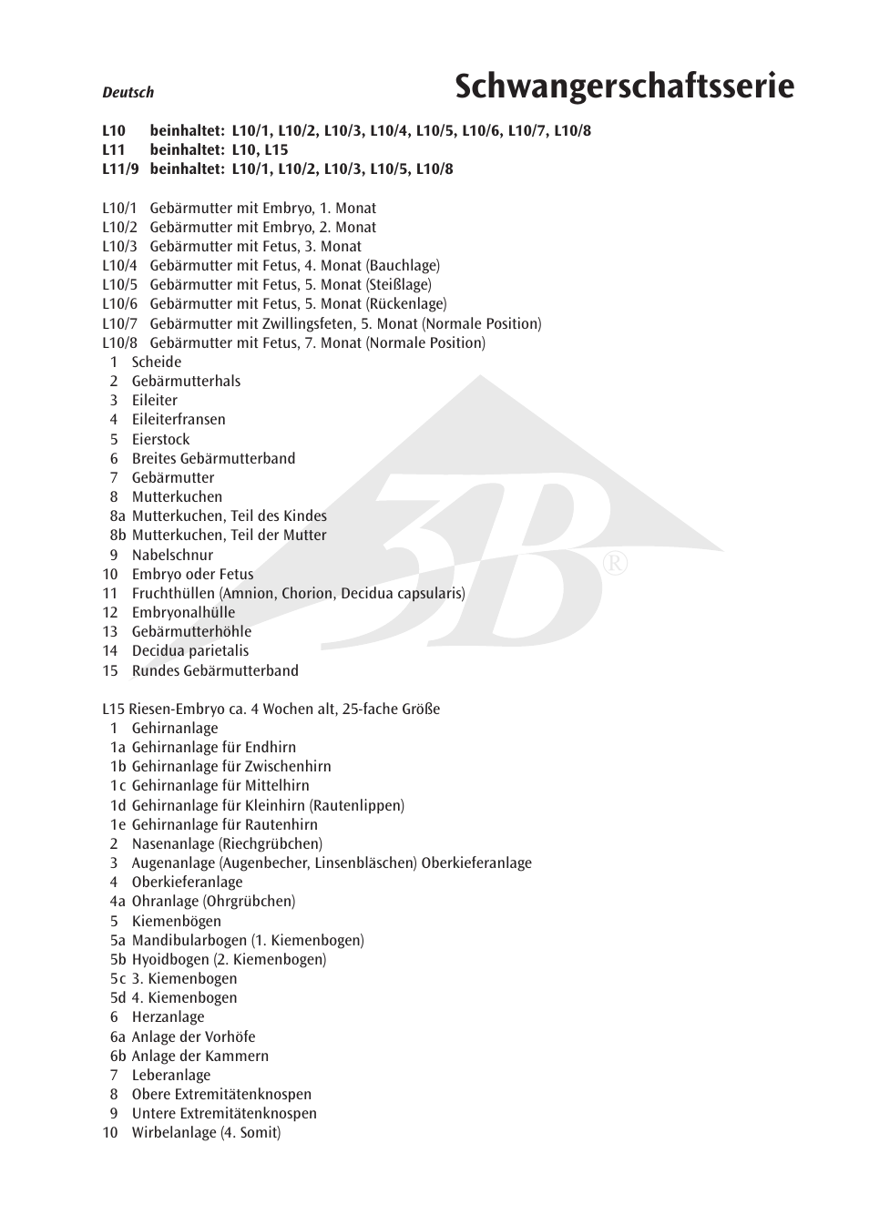 Schwangerschaftsserie | 3B Scientific 7th Month Fetus User Manual | Page 5 / 14