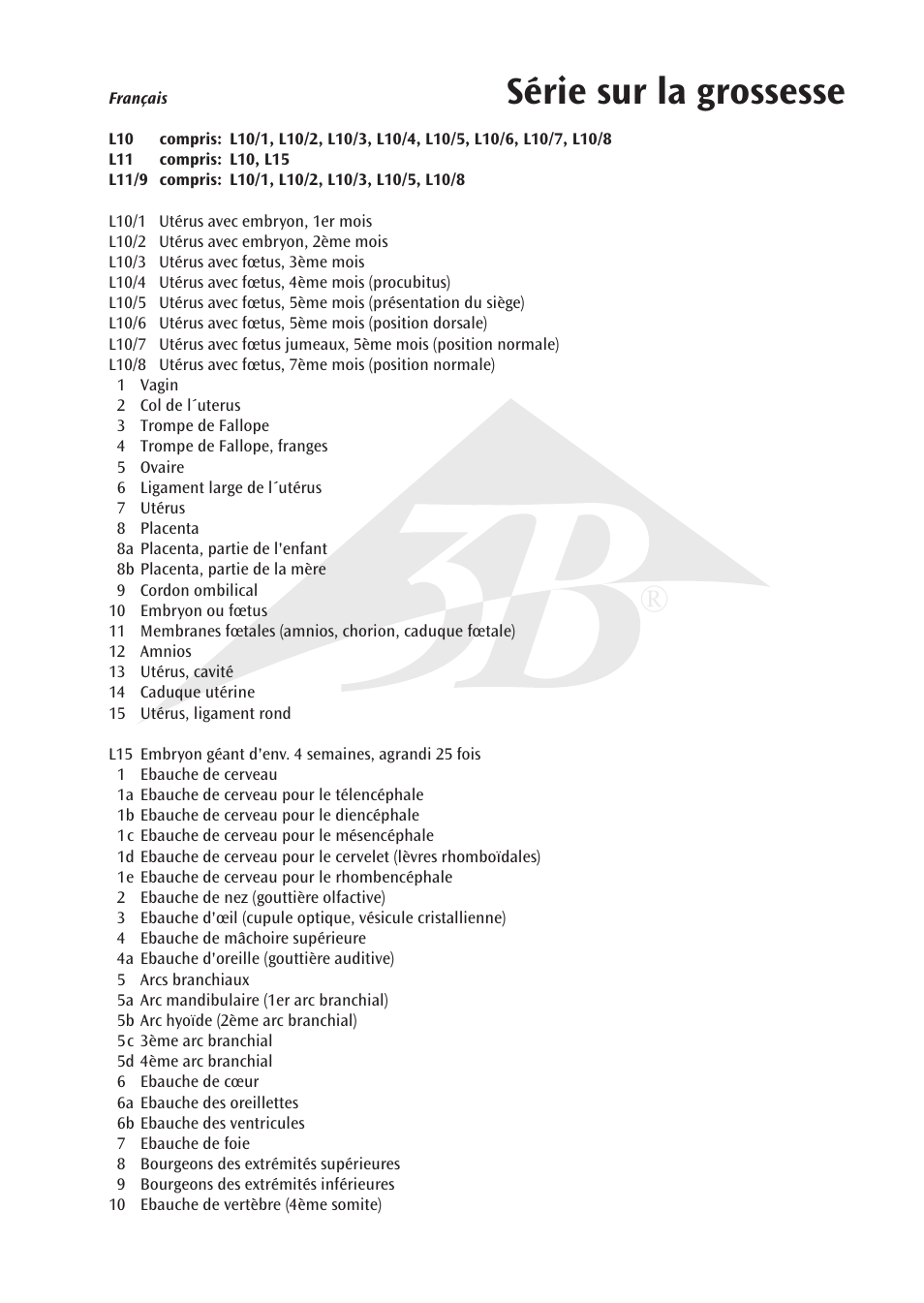 Série sur la grossesse | 3B Scientific 7th Month Fetus User Manual | Page 7 / 14
