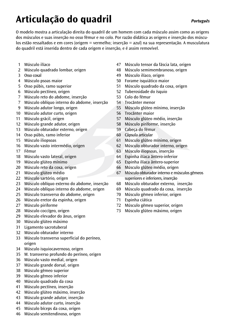 Articulação do quadril | 3B Scientific Hip Joint with Removable Muscles, 7 part User Manual | Page 16 / 24