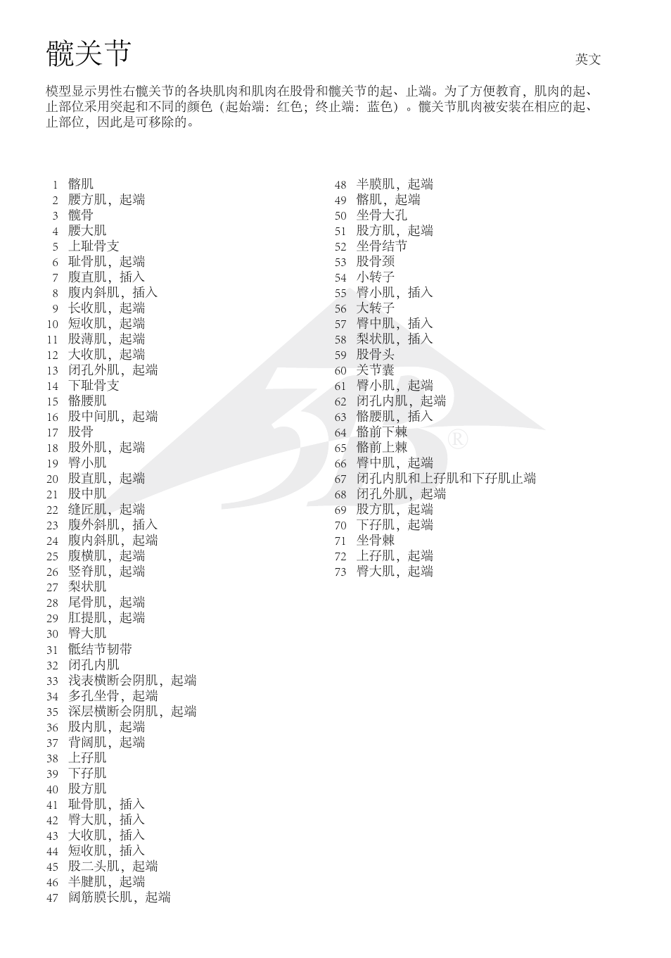 3B Scientific Hip Joint with Removable Muscles, 7 part User Manual | Page 20 / 24