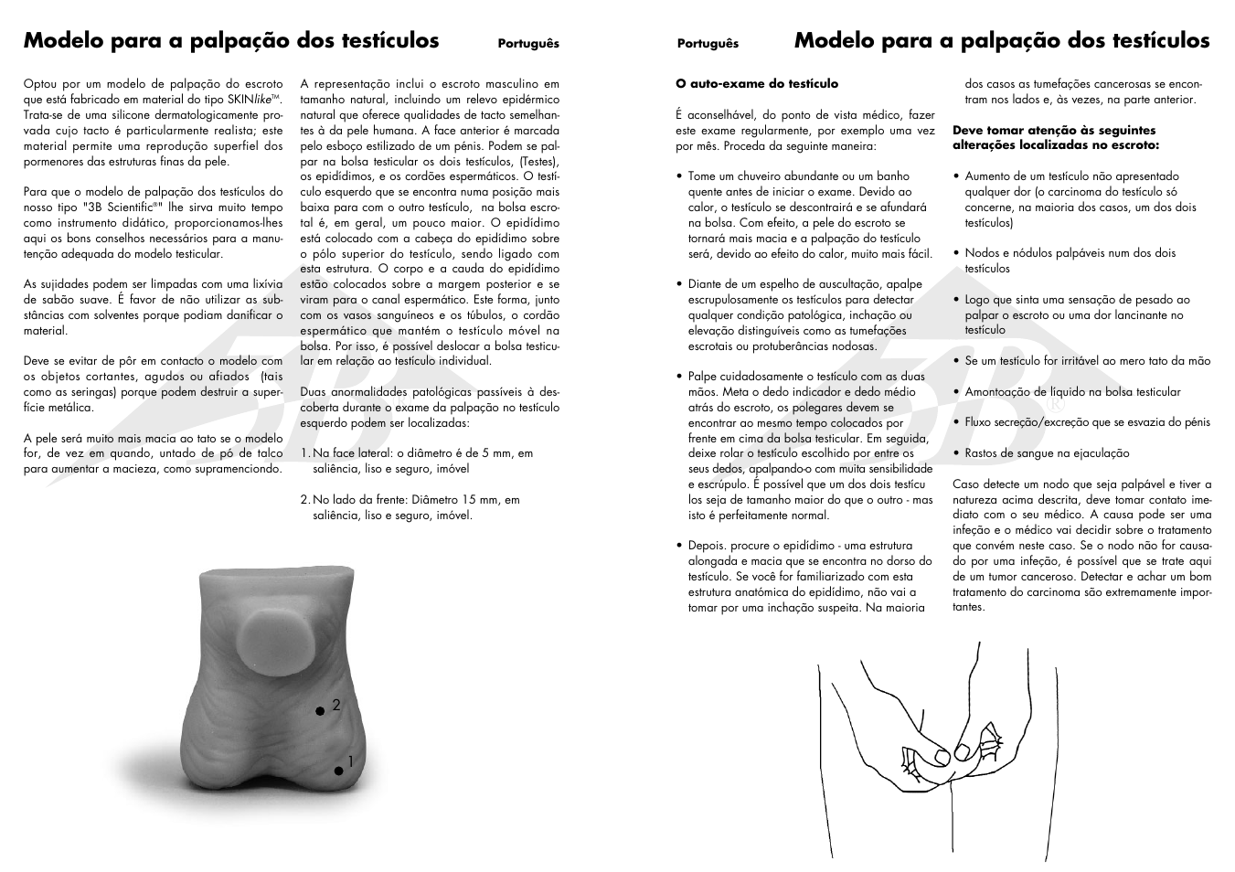 Modelo para a palpação dos testículos | 3B Scientific Testicle Model User Manual | Page 6 / 9