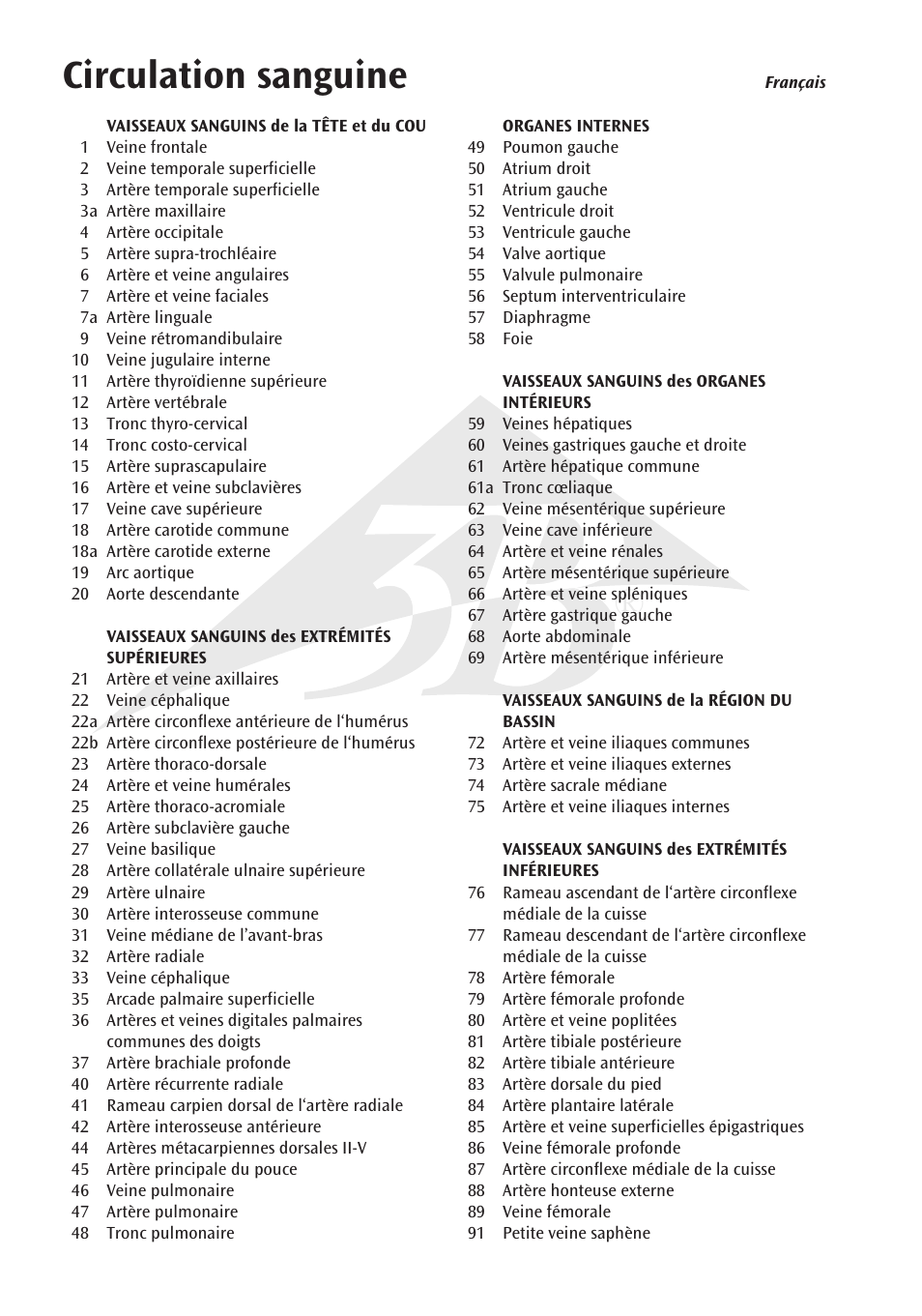 Circulation sanguine | 3B Scientific Circulatory System User Manual | Page 10 / 20