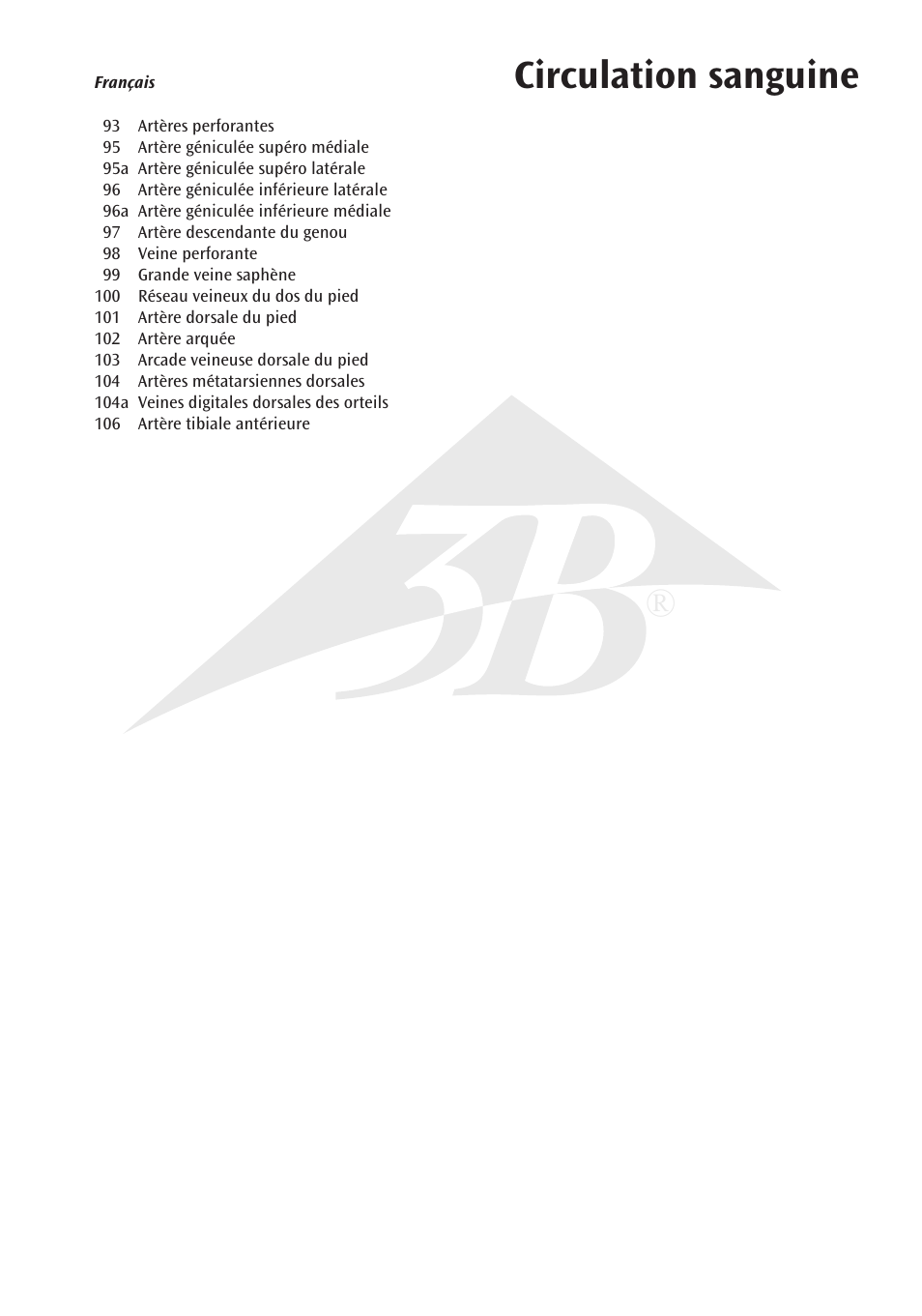 Circulation sanguine | 3B Scientific Circulatory System User Manual | Page 11 / 20