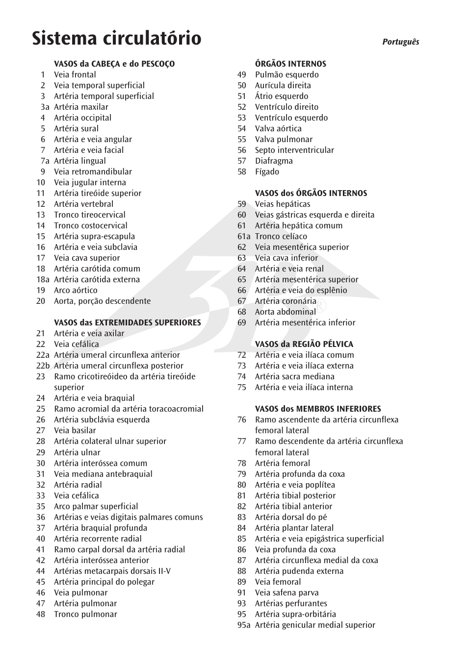 Sistema circulatório | 3B Scientific Circulatory System User Manual | Page 12 / 20