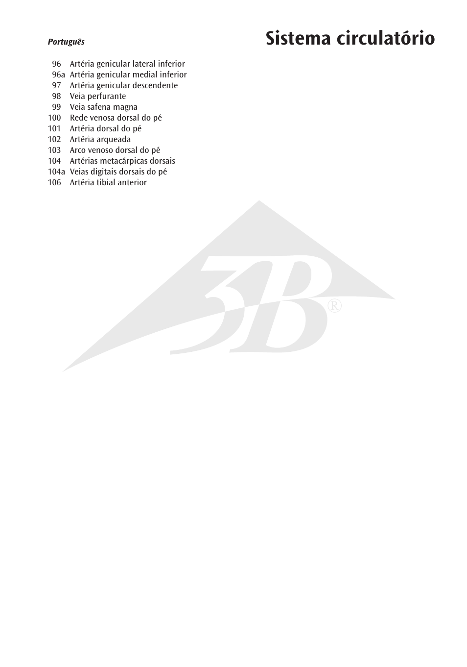 Sistema circulatório | 3B Scientific Circulatory System User Manual | Page 13 / 20