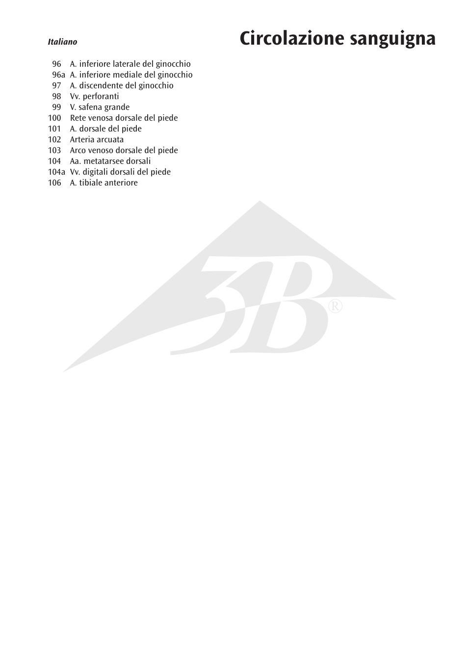 Circolazione sanguigna | 3B Scientific Circulatory System User Manual | Page 15 / 20