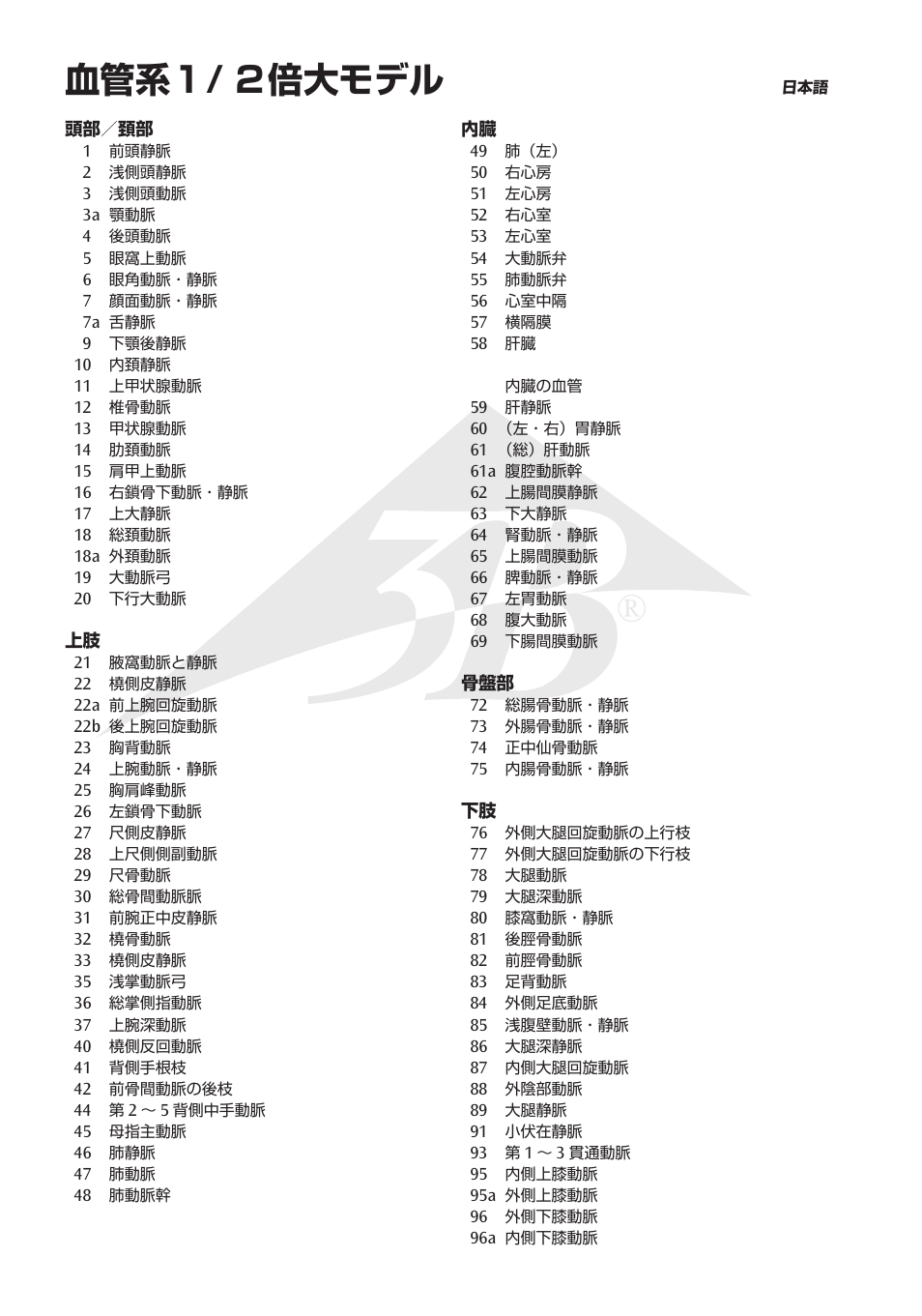 血管系１/ ２倍大モデル | 3B Scientific Circulatory System User Manual | Page 16 / 20