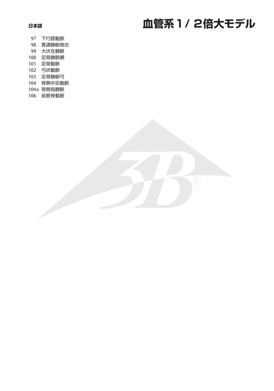 血管系１/ ２倍大モデル | 3B Scientific Circulatory System User Manual | Page 17 / 20