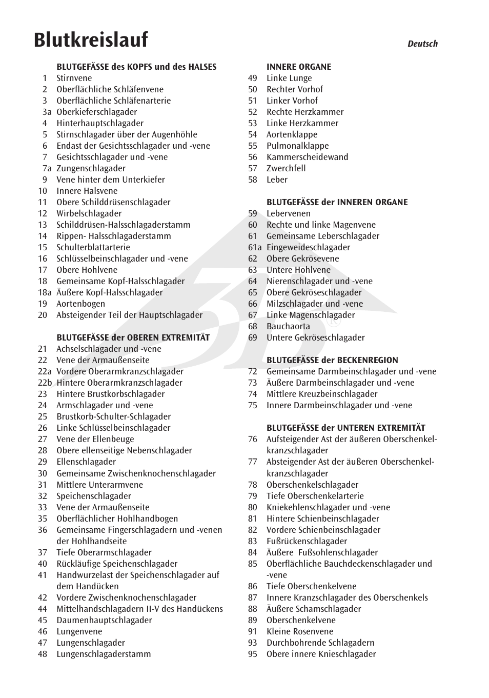 Blutkreislauf | 3B Scientific Circulatory System User Manual | Page 6 / 20