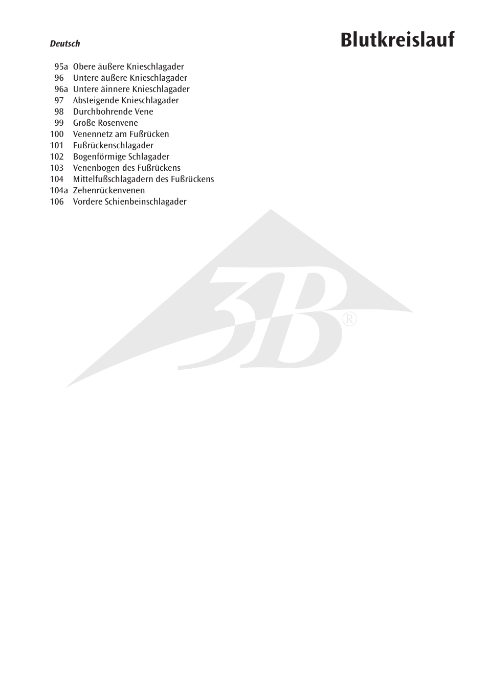Blutkreislauf | 3B Scientific Circulatory System User Manual | Page 7 / 20