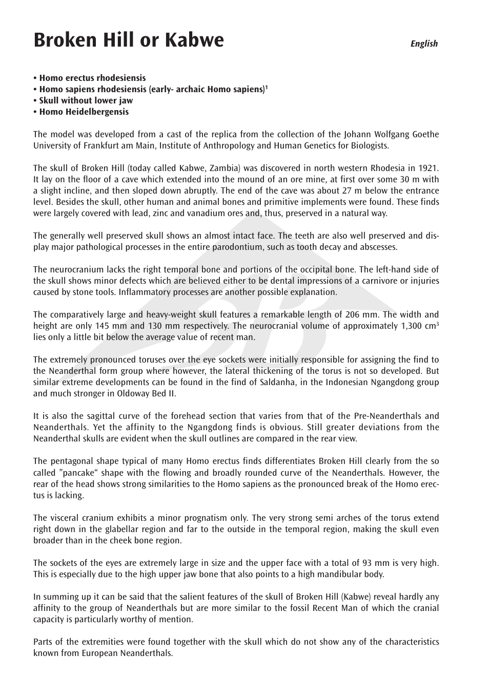 Broken hill or kabwe | 3B Scientific Anthropological Skull Model - Broken Hill or Kabwe User Manual | Page 2 / 16