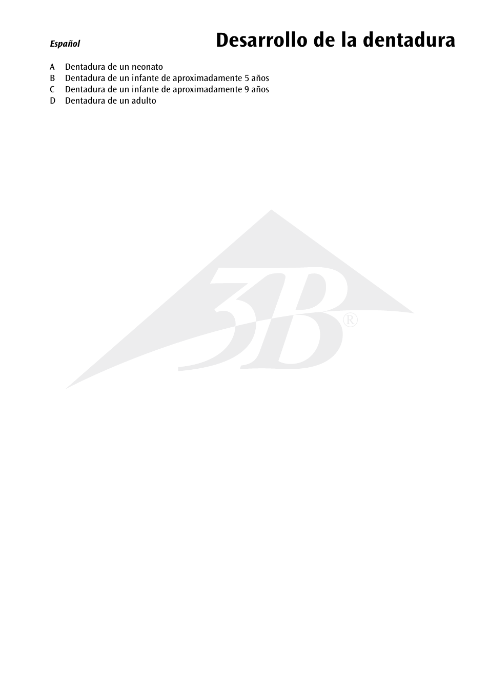 Desarrollo de la dentadura | 3B Scientific Dentition Development User Manual | Page 5 / 12
