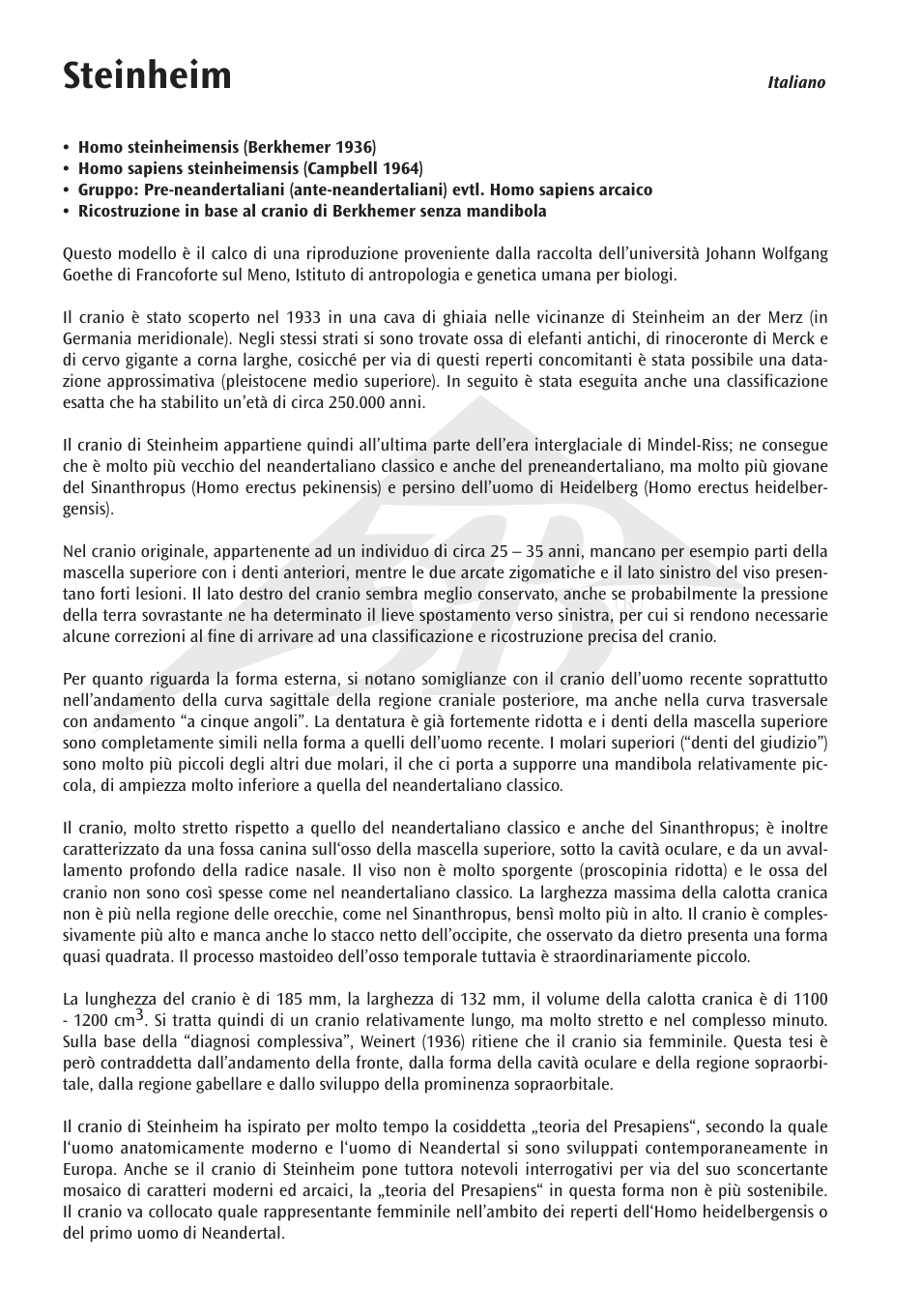Steinheim | 3B Scientific Anthropological Skull Model - Steinheim User Manual | Page 12 / 16