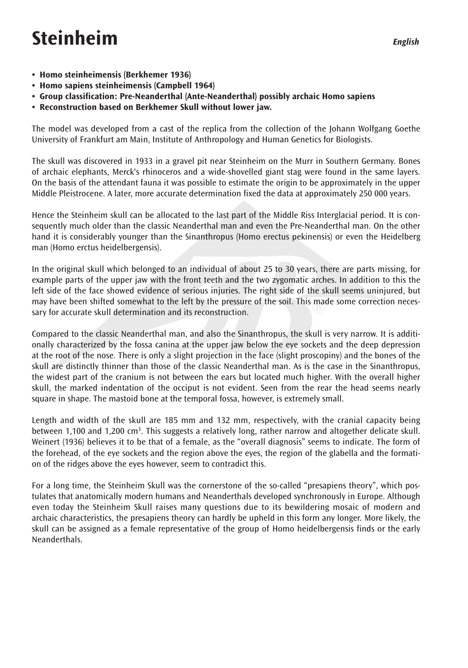 Steinheim | 3B Scientific Anthropological Skull Model - Steinheim User Manual | Page 2 / 16
