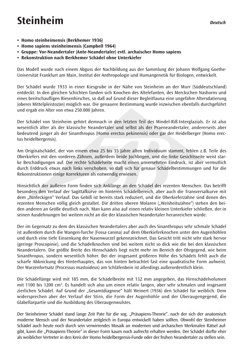 Name steinheim | 3B Scientific Anthropological Skull Model - Steinheim User Manual | Page 4 / 16