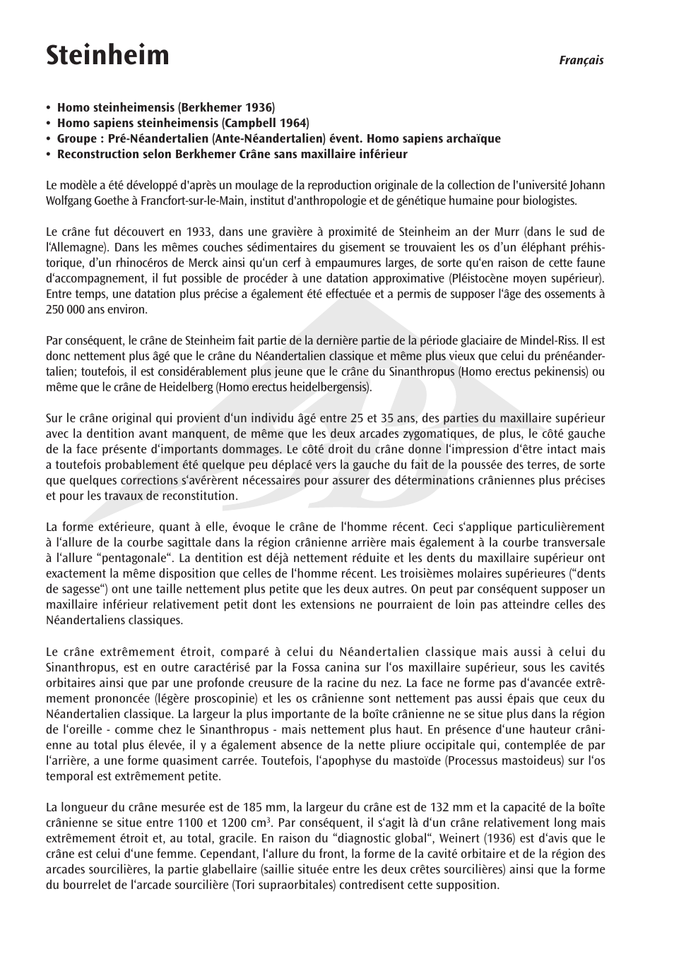 Steinheim | 3B Scientific Anthropological Skull Model - Steinheim User Manual | Page 8 / 16