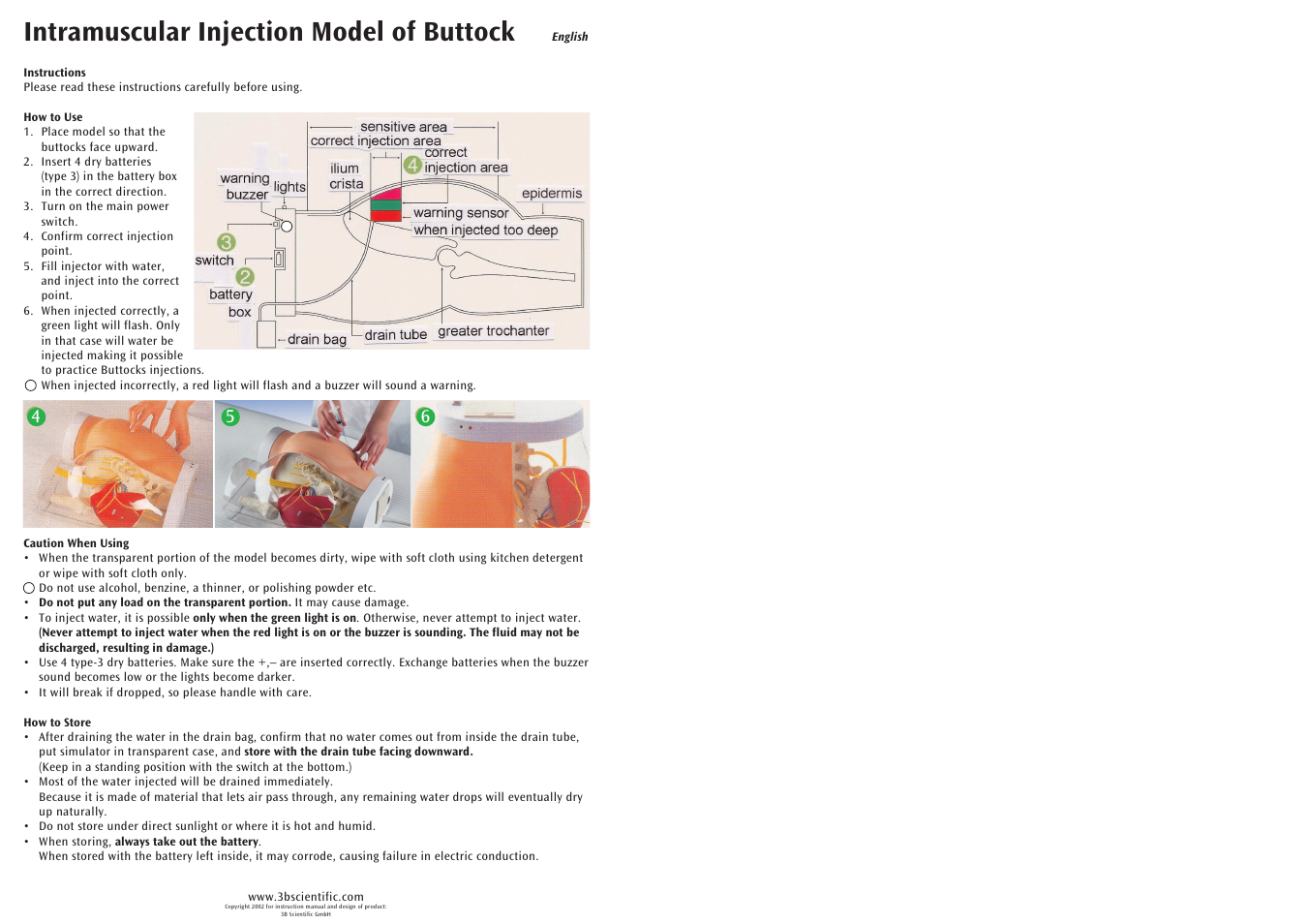 Intramuscular injection model of buttock | 3B Scientific Two-in-One i.m. Injection Model of Buttock User Manual | Page 2 / 2
