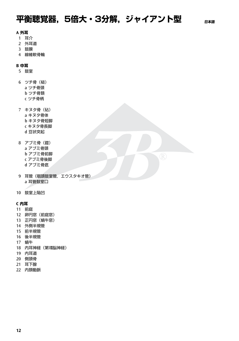 平衡聴覚器，5倍大・3分解，ジャイアント型 | 3B Scientific Giant Ear Model, 5 times full-size, 3 part User Manual | Page 12 / 16